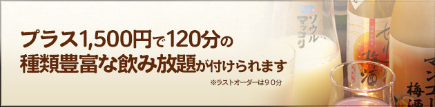 プラス1,500円で120分の種類豊富な飲み放題が付けられます